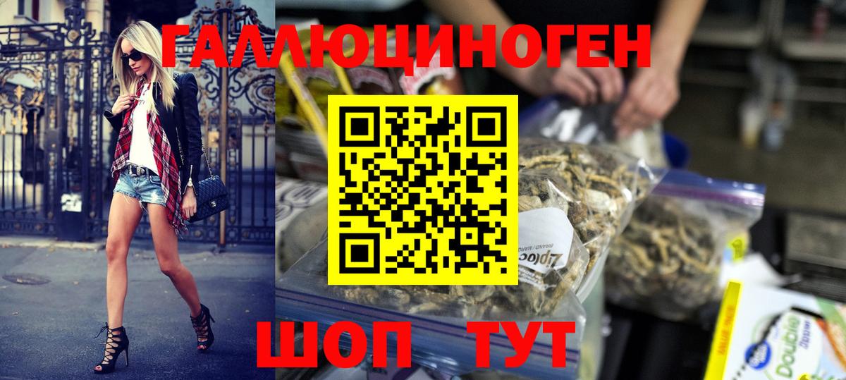 Дятьково  Псилоцибиновые грибы GOLDEN TEACHER  Вход с VPN 